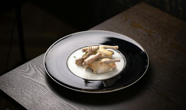 Welche speziellen Pflegehinweise gibt es für Rex-Kaninchen mit empfindlicher Haut?