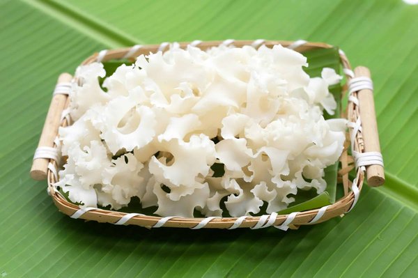 Können spezifische Pilze das Immunsystem in der Grippezeit unterstützen?