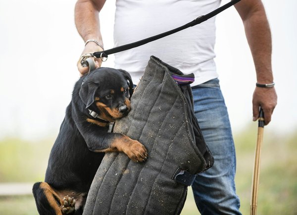 Wie schafft man ein Sicherheitskonzept für öffentliche Veranstaltungen in Krisenzeiten?
