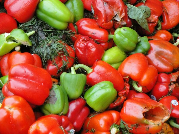 Welche Lösungen gibt es, um eine Küche umweltfreundlicher und nachhaltiger zu machen?